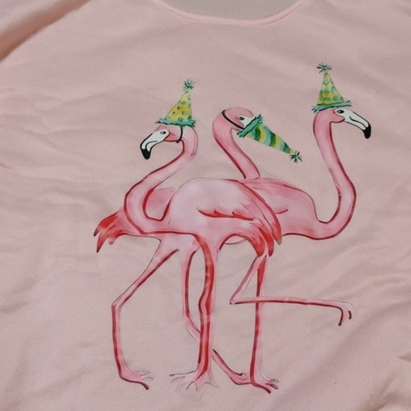 Chic Pink Flamingo Sweatshirt - Picture 3 of 6